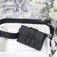 Dior Montaigne Bags